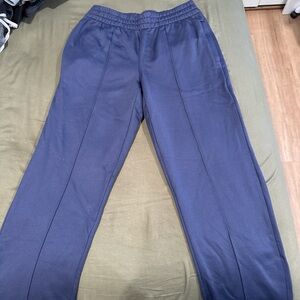 Aritzia Blue Track Pants